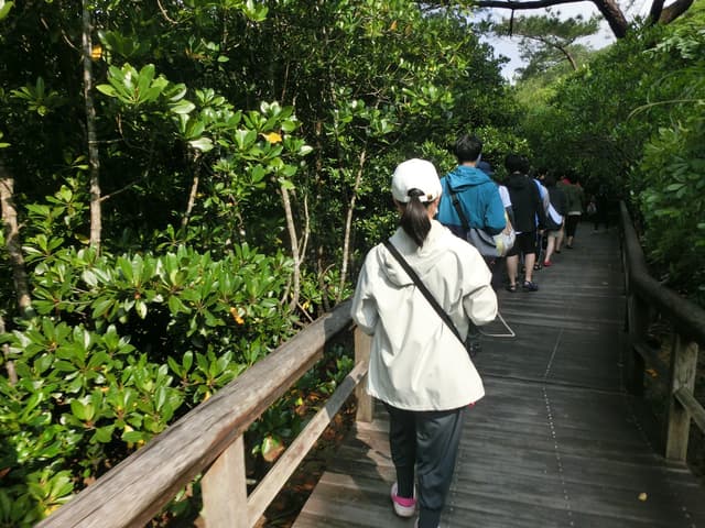 水野愛理
